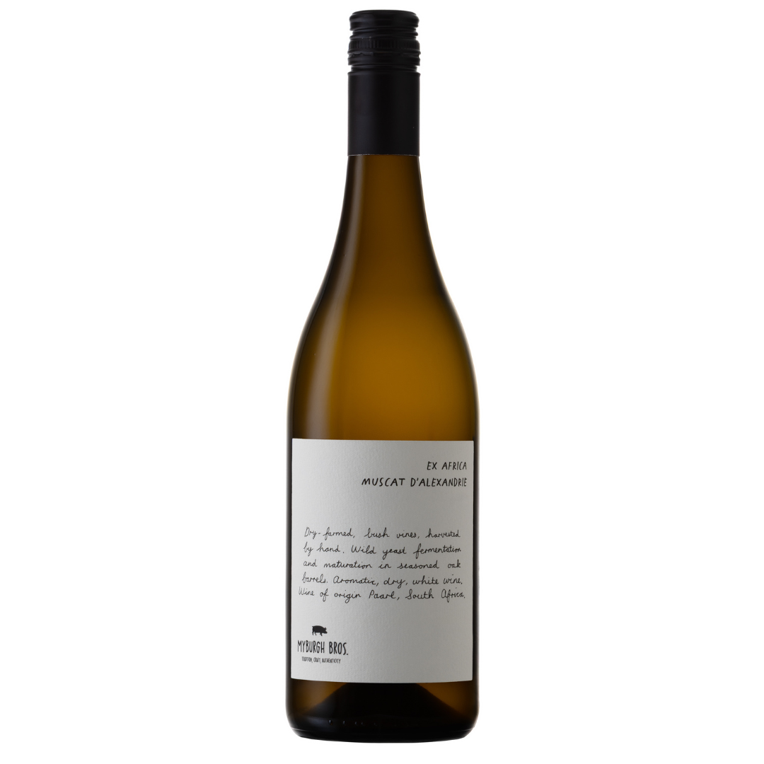 Myburgh Bros 'Ex Africa' Muscat d'Alexandrie 2024