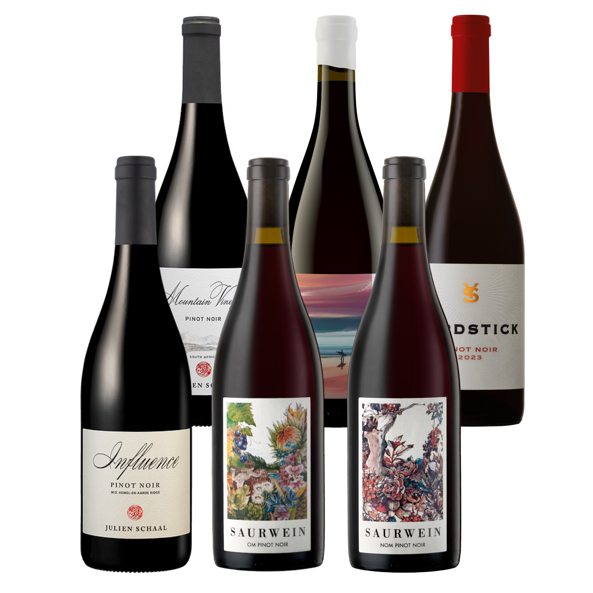 South African Pinot Noir Mixed Case