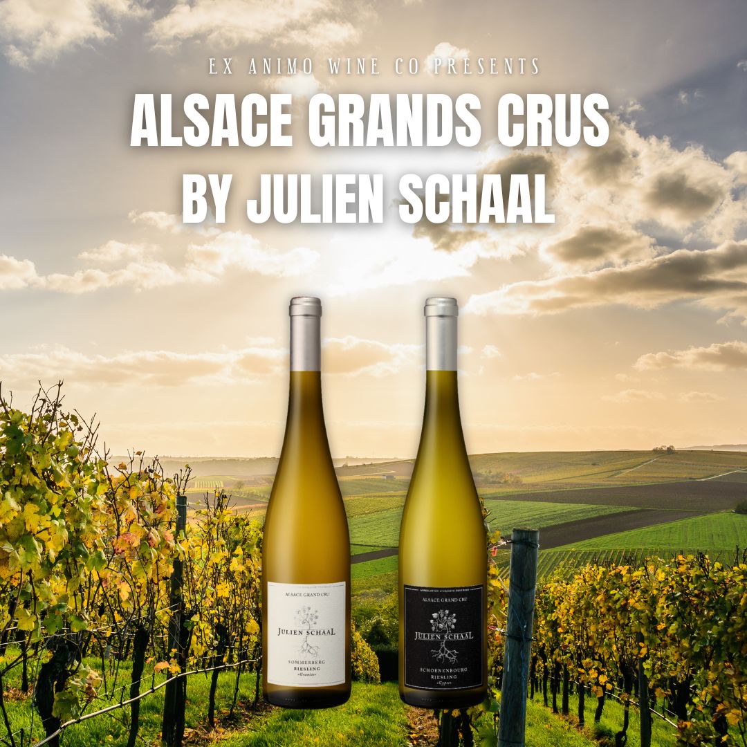 Alsace riesling wines from Julien Schaal available in South Africa.