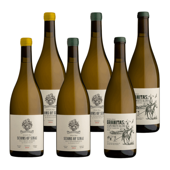 Scions of Sinai White Wine 2024 Mixed Case