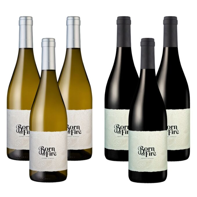 Sophie Schaal Mixed Case 2024