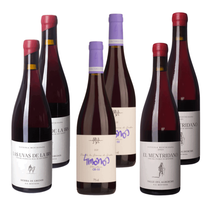 Sierra de Gredos Mixed Case 2025