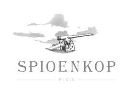 Spioenkop