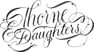 TD Logo Transparent