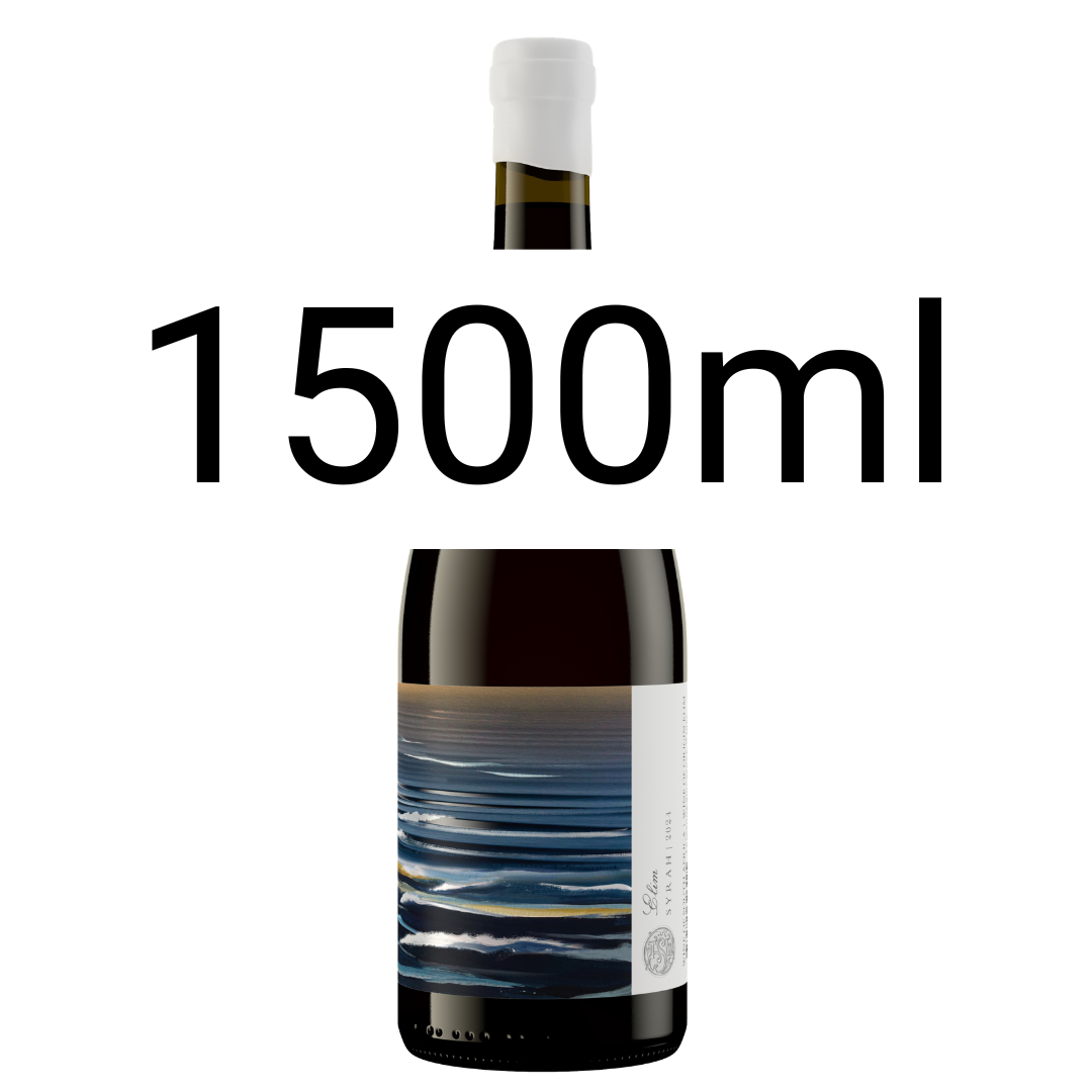 Trizanne Signature Wines 'Elim' Syrah 2024 MAGNUM
