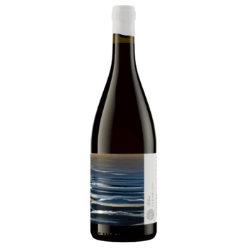 Trizanne Signature Wines 'Elim' Syrah 2024