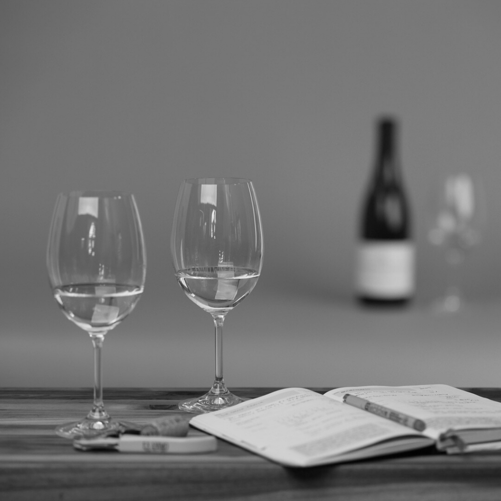 Basics of South African Wine Winter 2024 Ex Animo Wine Co.