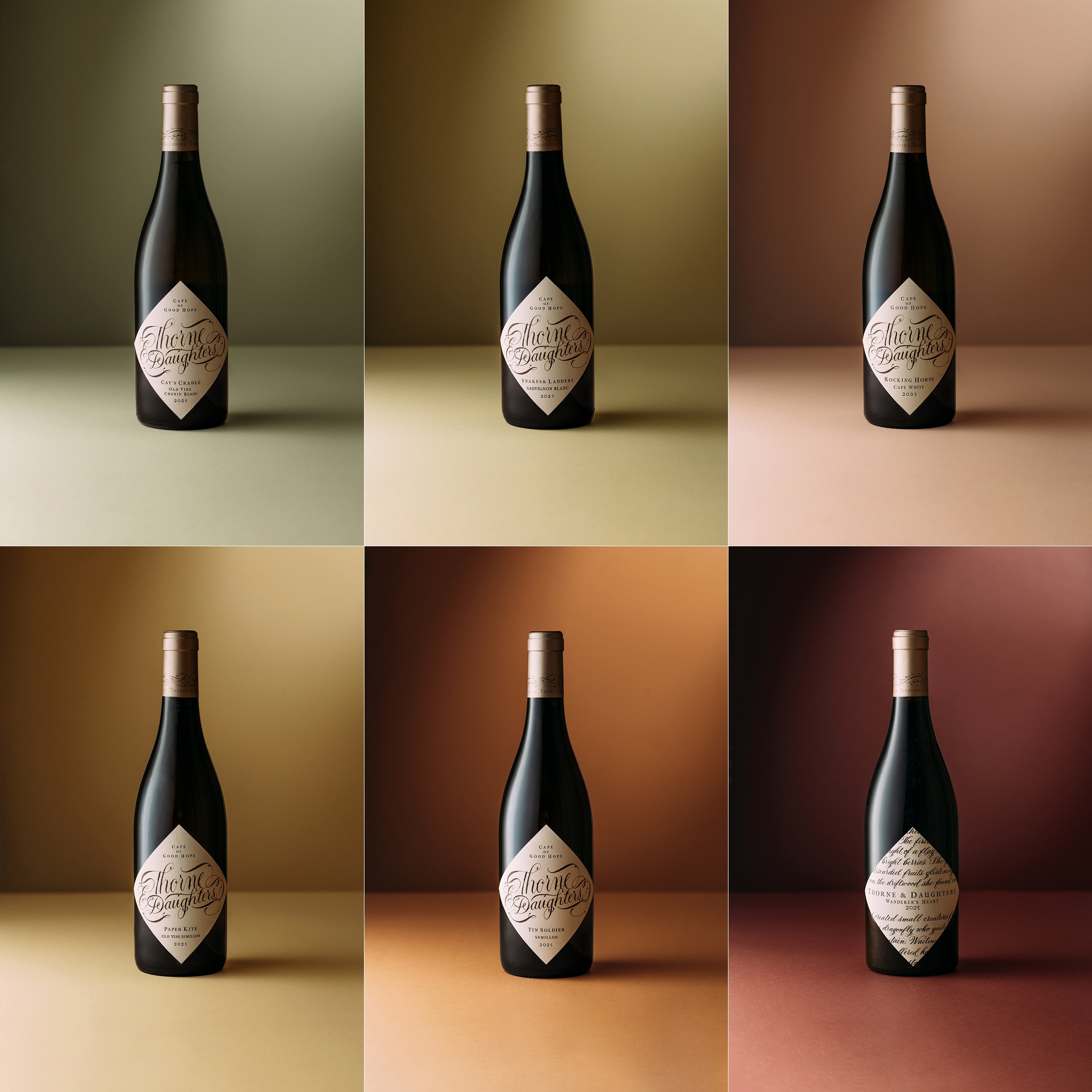 Thorne & Daughters Best Release Mixed Case! 2025